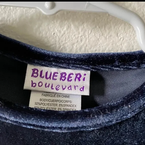 Blueberi Boulevard Velvet Dress in Deep Blue- Size 2T - Picture 5 of 5